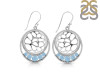 Aquamarine Earring AQM-RDE-63.