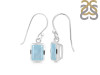 Aquamarine Earring AQM-RDE-712.