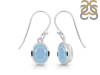 Aquamarine Earring AQM-RDE-713.