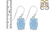 Aquamarine Earring AQM-RDE-978.