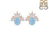 Aquamarine & White Topaz Stud Earring AQM-RE-71.