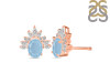Aquamarine & White Topaz Stud Earring AQM-RE-71.