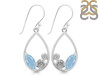 Aquamarine Earring AQM-RDE-69.