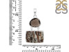 Astrophyllite/Smoky Pendant-2SP AST-1-117