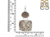 Astrophyllite/Smoky Pendant-2SP AST-1-122