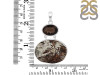Astrophyllite/Smoky Pendant-2SP AST-1-124