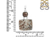 Astrophyllite/Smoky Pendant-2SP AST-1-126