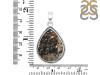 Astrophyllite Pendant-SP AST-1-42