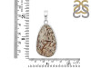 Astrophyllite Pendant-SP AST-1-60