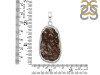 Astrophyllite Pendant-SP AST-1-64