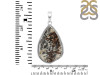 Astrophyllite Pendant-SP AST-1-79