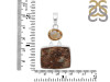 Astrophyllite/Citrine/ Pendant-2SP AST-1-88