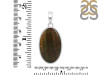 Bloodstone Pendant-SP BDS-1-54