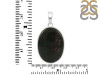 Blood Stone Pendant-SP BDS-1-88