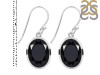 Black Tourmaline Earring BLS-RDE-1246.