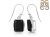 Black Tourmaline Earring BLS-RDE-1250.