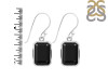 Black Tourmaline Earring BLS-RDE-1251.