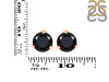 Black Tourmaline Stud Earring BLS-RDE-1570.