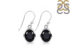 Black Tourmaline Earring BLS-RDE-561.