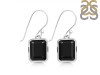 Black Tourmaline Earring BLS-RDE-711.