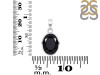 Black Tourmaline Pendant BLS-RDP-471.