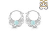 Blue Chalcedony Earring BLX-RDE-56.