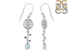 Blue Chalcedony Earring BLX-RDE-638.