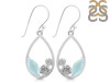 Blue Chalcedony Earring BLX-RDE-69.