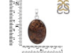 Bronzite Pendant-SP BRZ-1-21