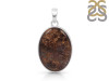 Bronzite Pendant-SP BRZ-1-21