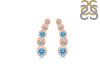 Blue Topaz & White Topaz Stud Earring BTZ-RDE-1472.
