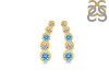 Blue Topaz & White Topaz Stud Earring BTZ-RDE-1472.