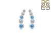Blue Topaz & White Topaz Stud Earring BTZ-RDE-1472.