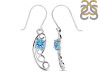 Blue Topaz Earring BTZ-RDE-46.