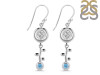 Blue Topaz Earring BTZ-RDE-638.