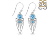 Blue Topaz Earring BTZ-RDE-649.