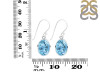 Blue Topaz Earring BTZ-RDE-709.