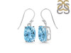 Blue Topaz Earring BTZ-RDE-978.