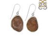Coconut Geode Earring-E CCG-3-19