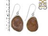 Coconut Geode Earring-E CCG-3-19