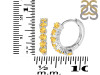 Citrine Hoop Hoop Earring CIT-RDE-1473.