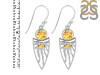 Citrine Earring CIT-RDE-649.