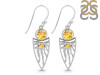 Citrine Earring CIT-RDE-649.