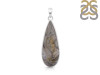 Crazy Lace Agate Pendant-SP CLA-1-15