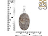 Crazy Lace Agate Pendant-SP CLA-1-42
