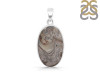 Crazy Lace Agate Pendant-SP CLA-1-42