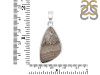 Crazy Lace Agate Pendant-SP CLA-1-61