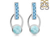 Close Out Larimar & Blue Topaz Earring LAR-CO-RDE-104.