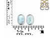 Close Out Larimar Earring LAR-CO-RDE-1108.