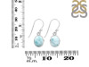 Close Out Larimar Earring LAR-CO-RDE-1131.
